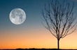 Super blue Moon tonight: When, Where and How to watch rare celestial event